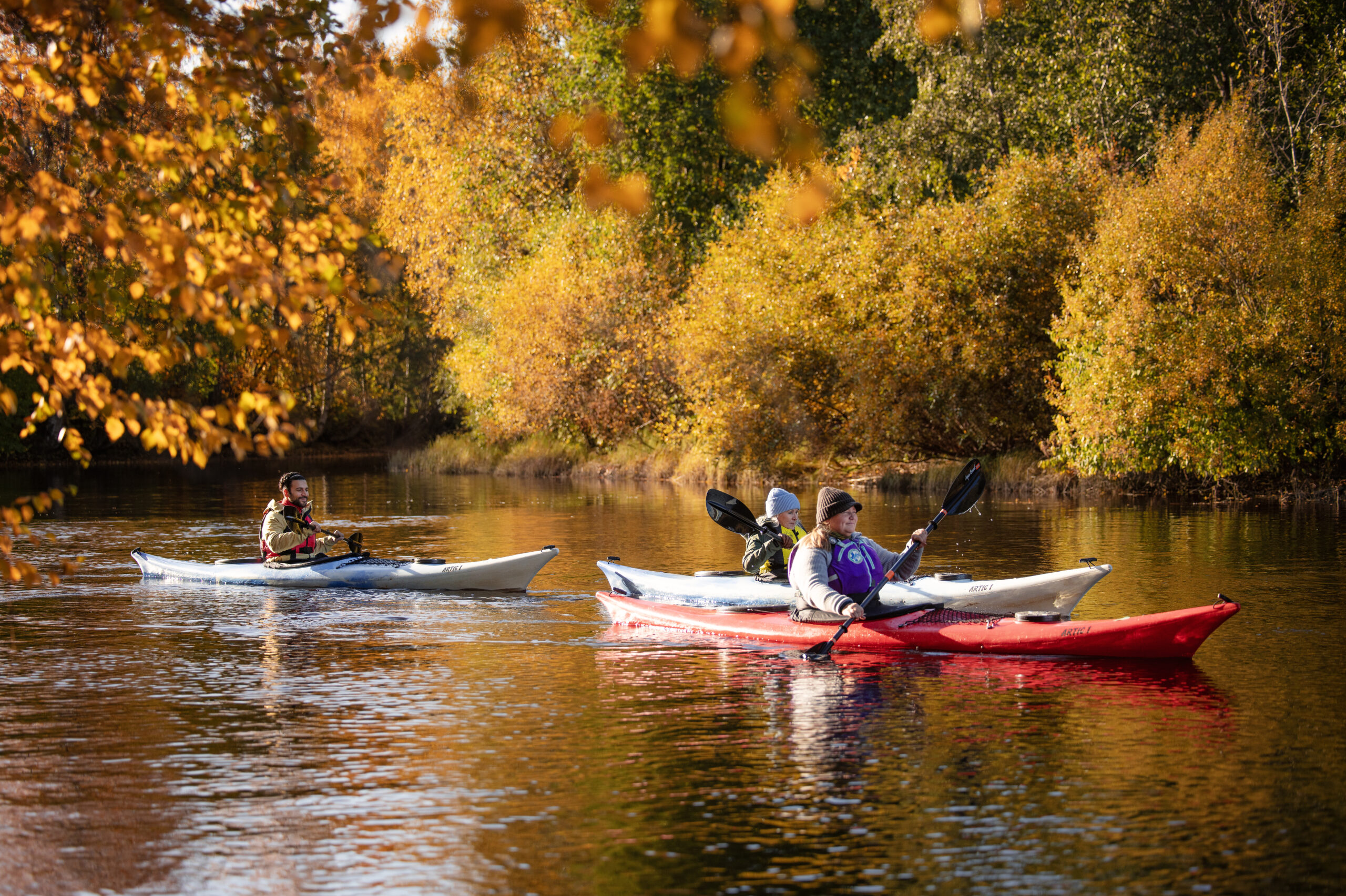 Autumn's Weekly Programme