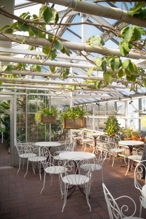 Kahvila Kiikku greenhouse café in Hupisaaret city park